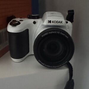 Kodak Black and White Digital Camera